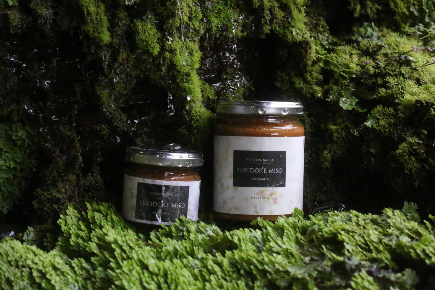 雪解け味噌 -スタンダード 250g