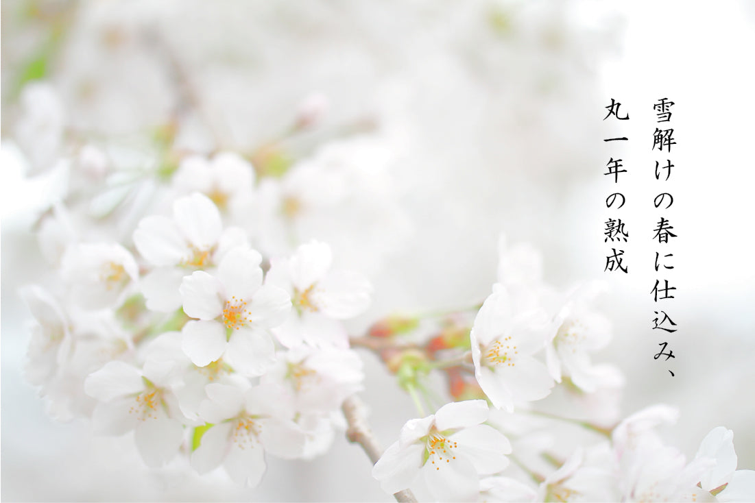 雪解け味噌 -スタンダード 250g