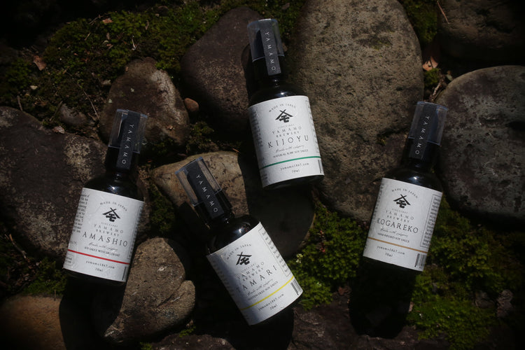 エントリーセット