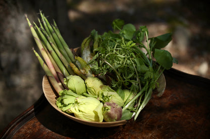 ヤマモ春の山菜セット（春限定）(受注販売）