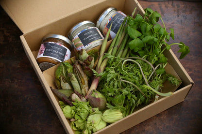 ヤマモ春の山菜セット（春限定）(受注販売）