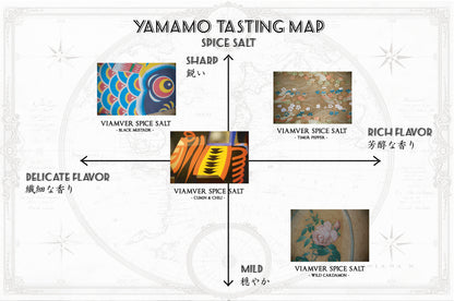 ヴィアンヴァースパイスソルト -クミン&チリ 45g