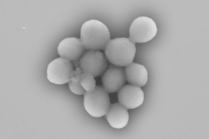 ヴィアンヴァーソイソース -スタンダード 70ml