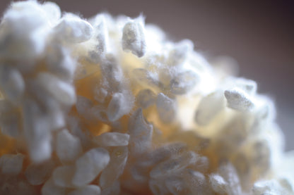 ヤマモ味噌（こし）5kgダンボール入